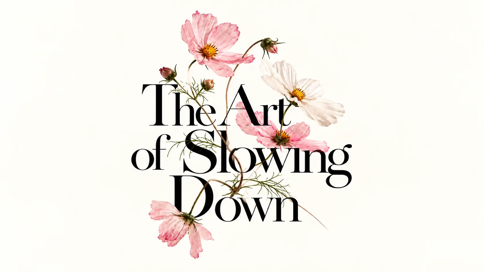 The Art of Slowing Down – Forma Botanica, atelier botaniczne w Krakowie